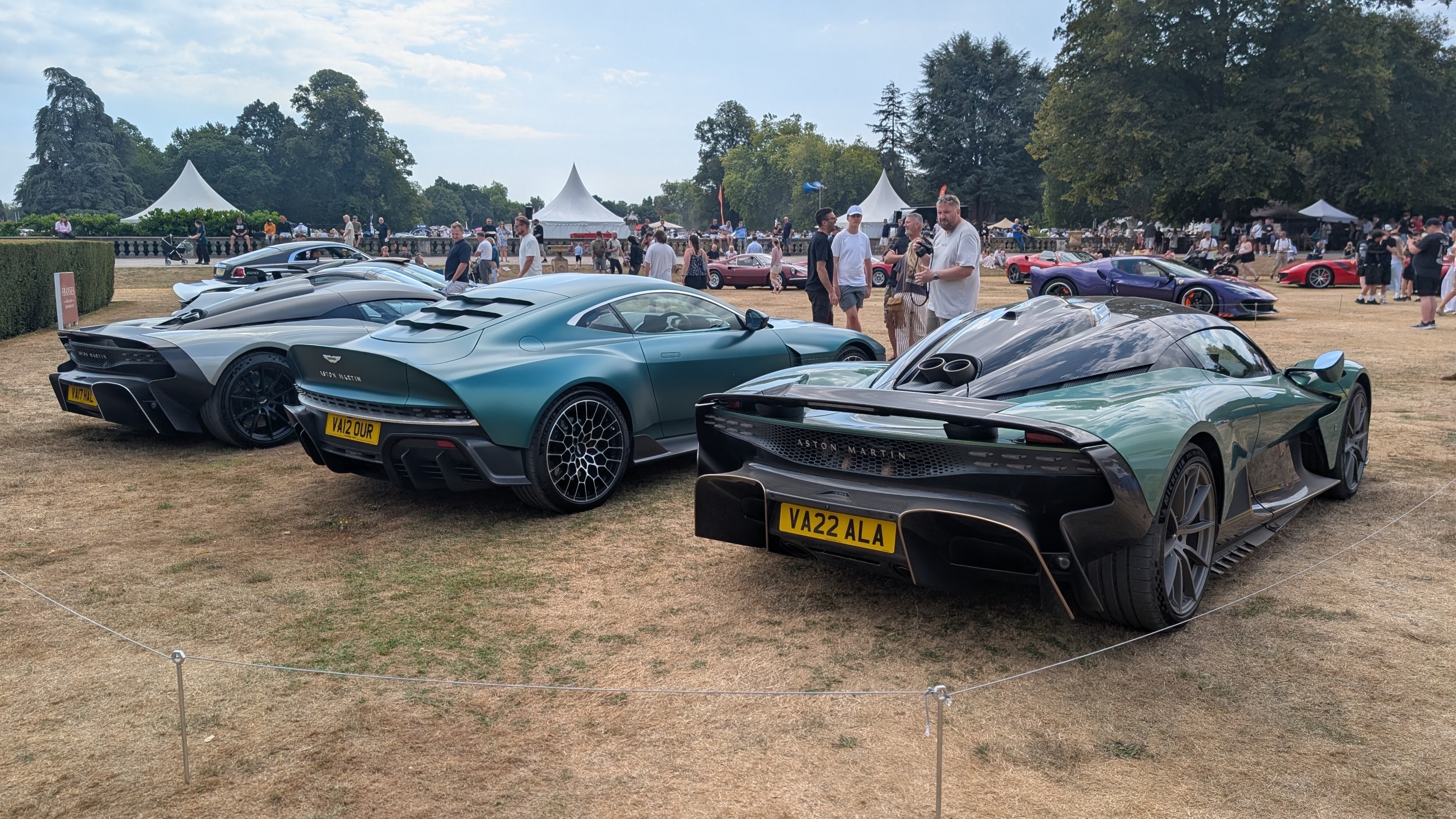 Canford_2026_481.jpg