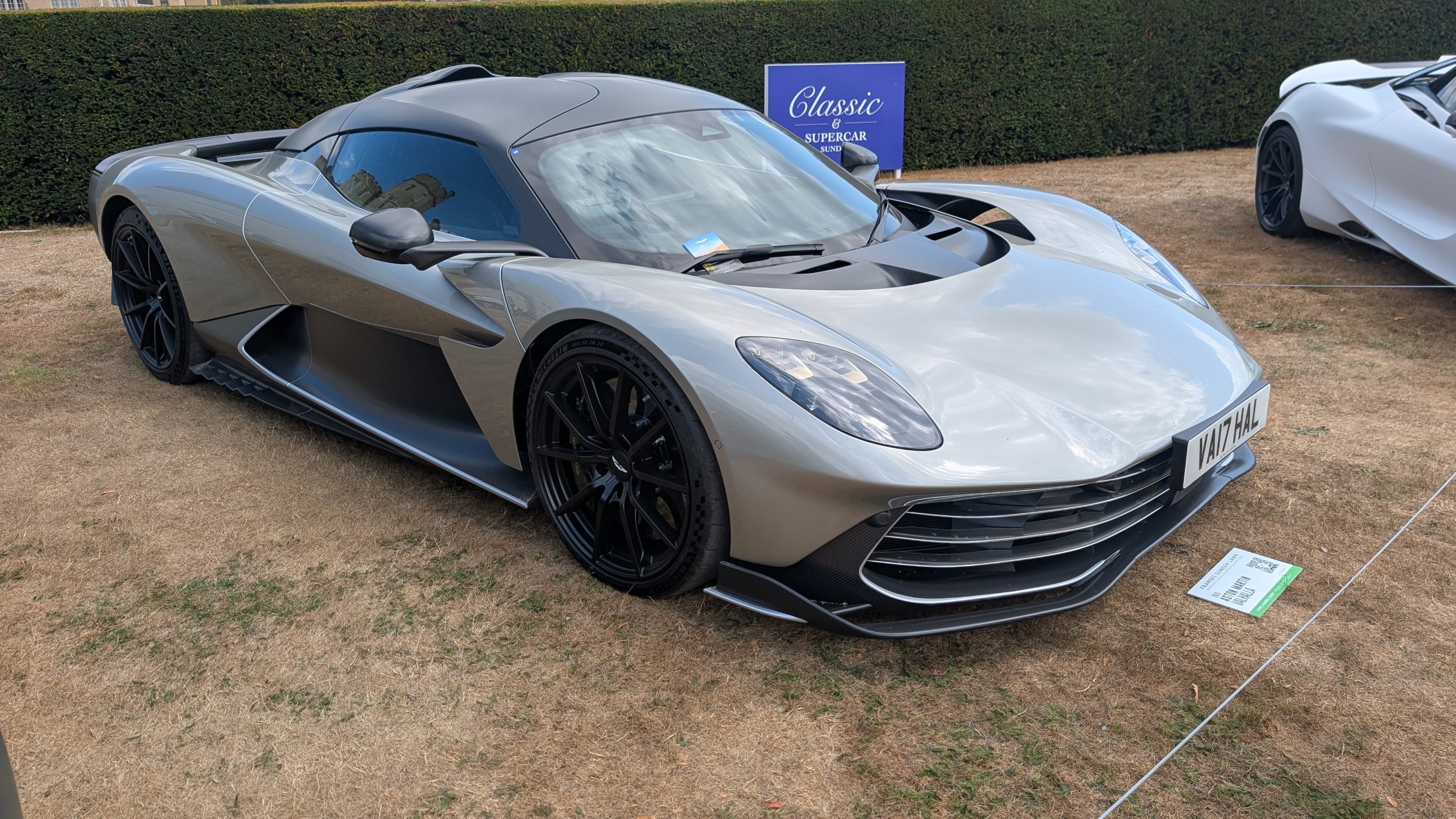 Canford_2026_484.jpg