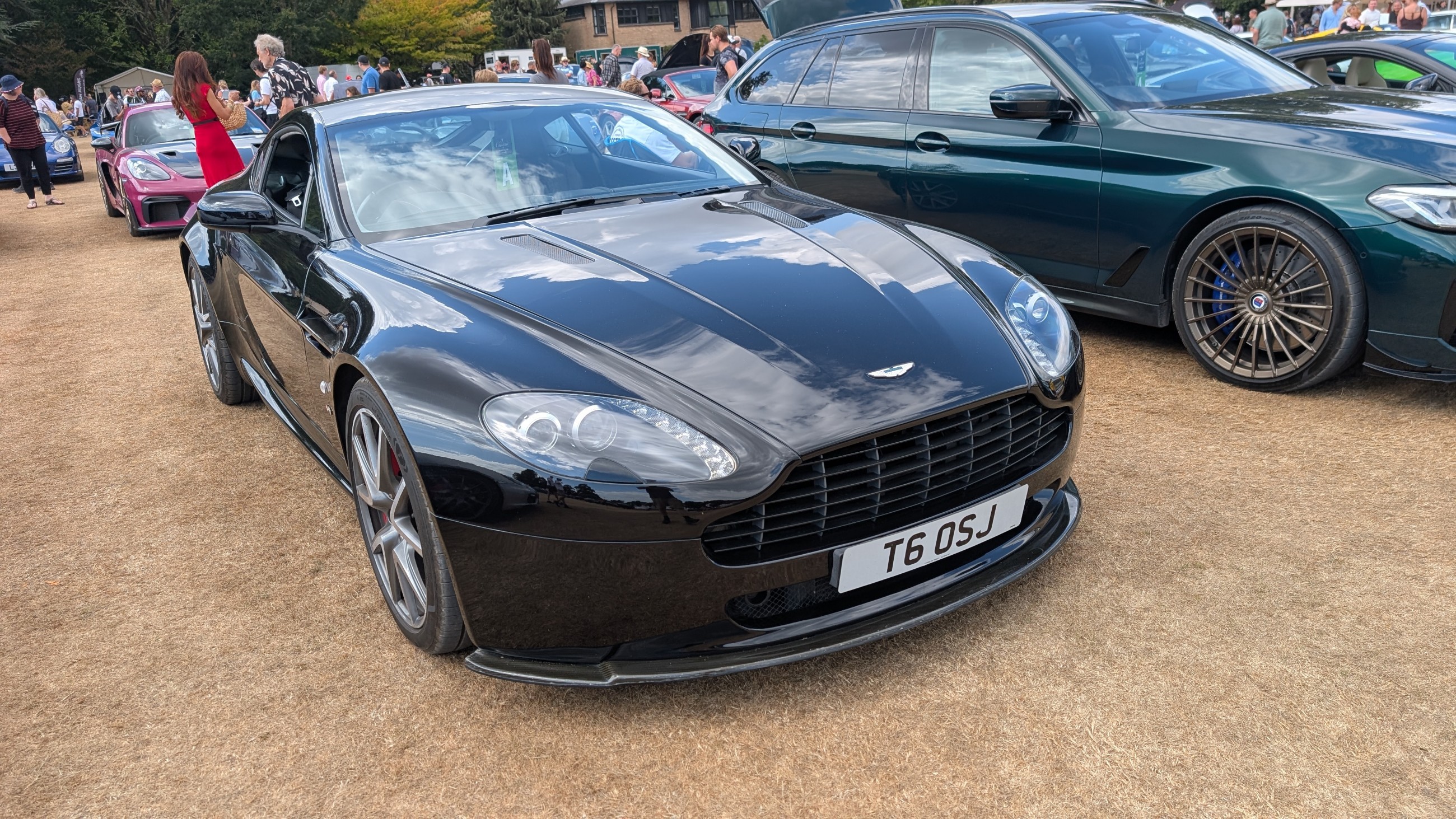 Canford_2026_522.jpg