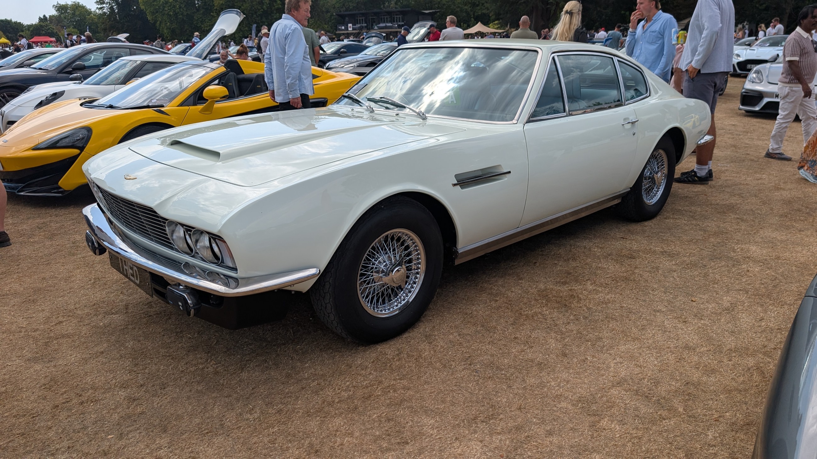 Canford_2026_536.jpg