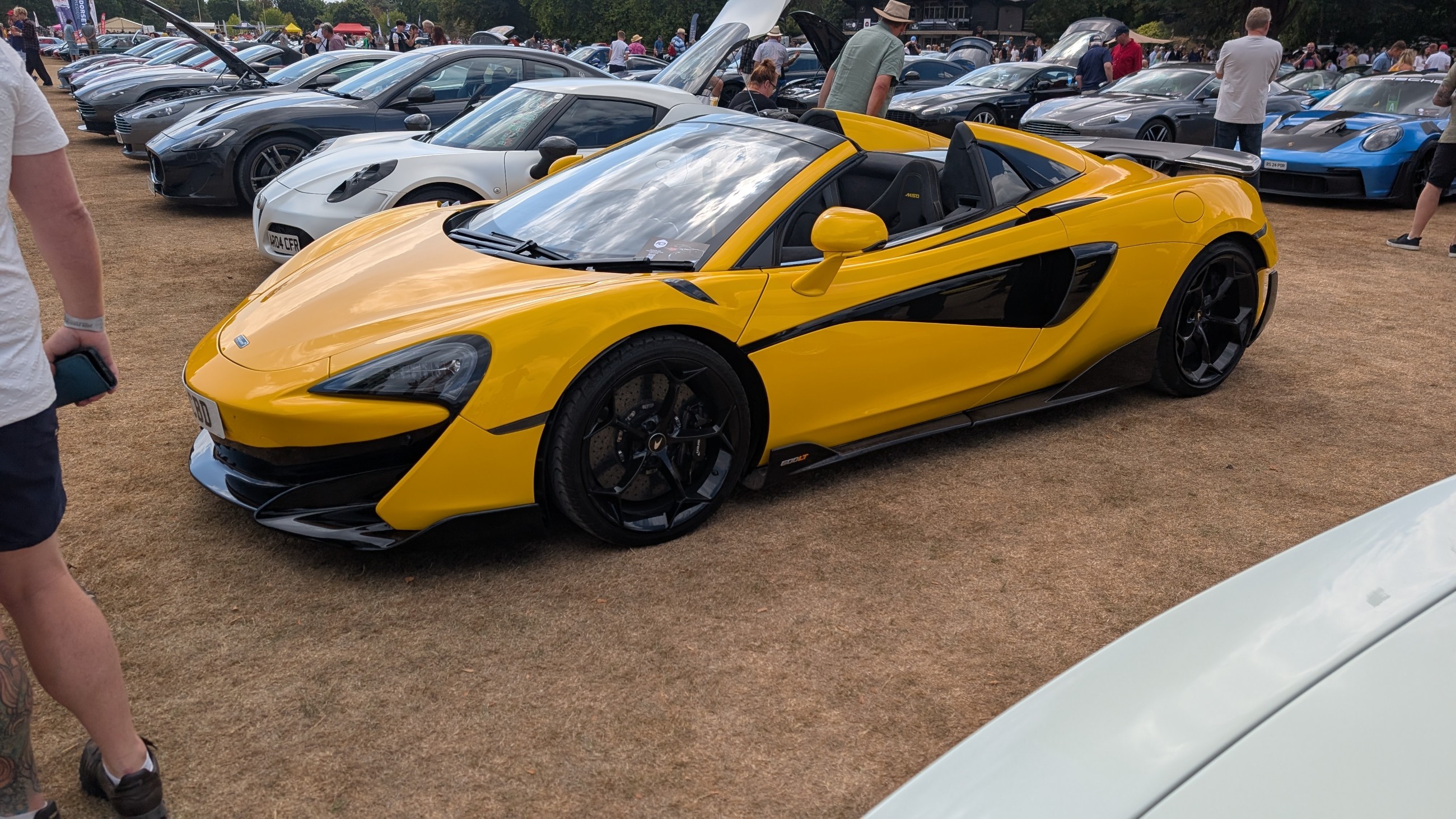 Canford_2026_537.jpg