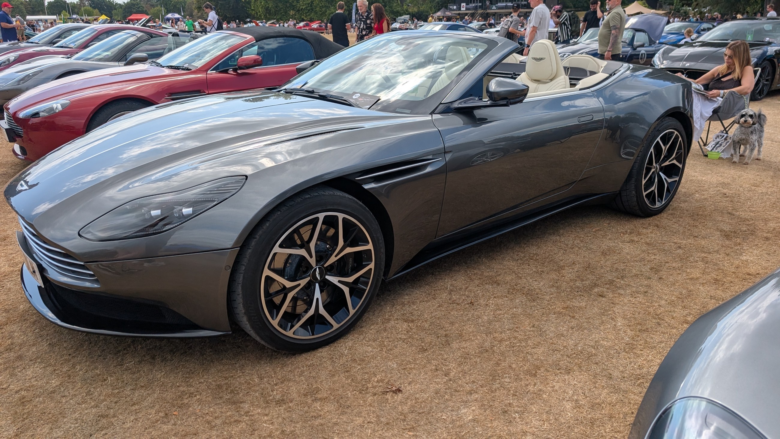 Canford_2026_541.jpg