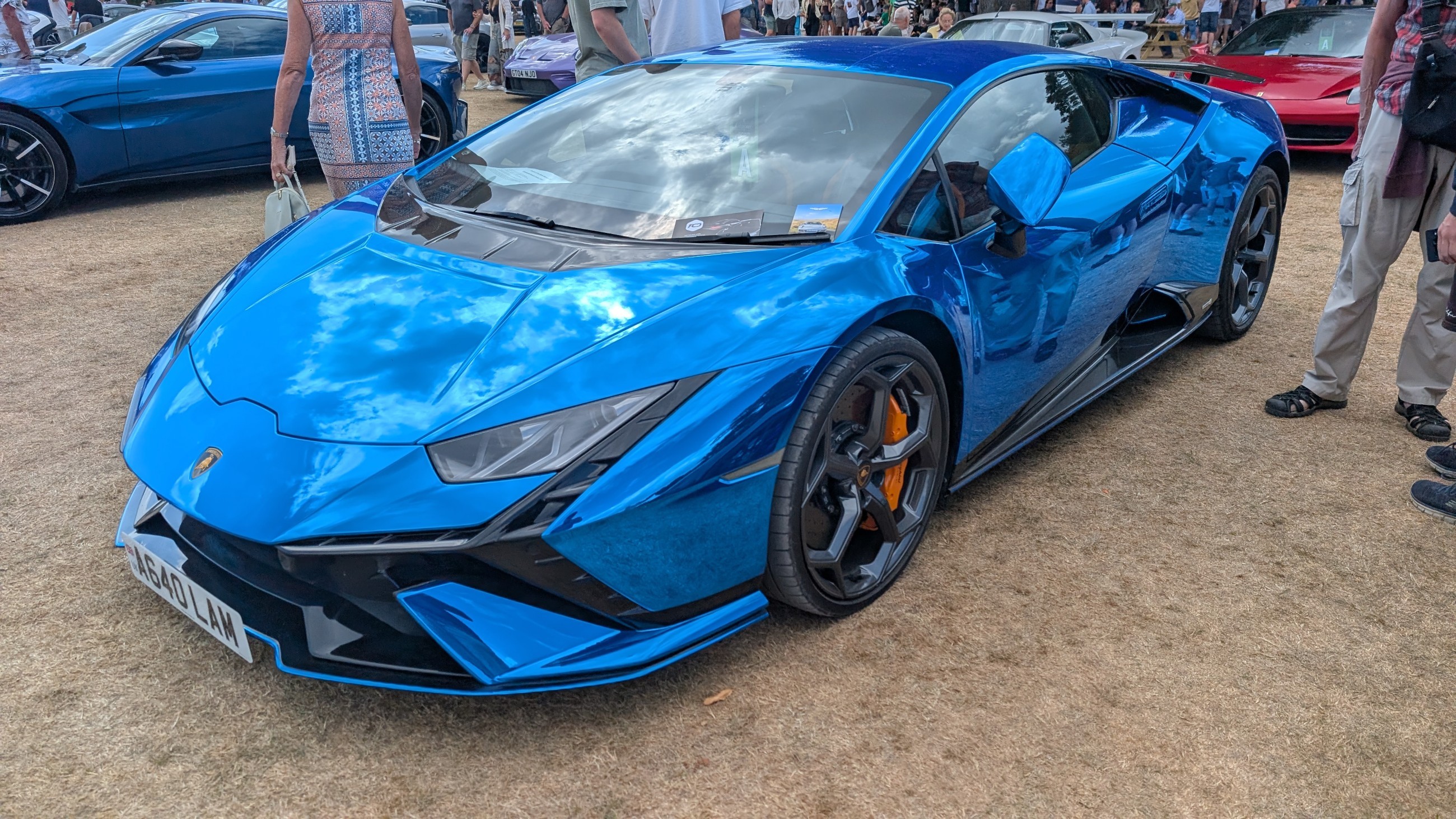 Canford_2026_569.jpg