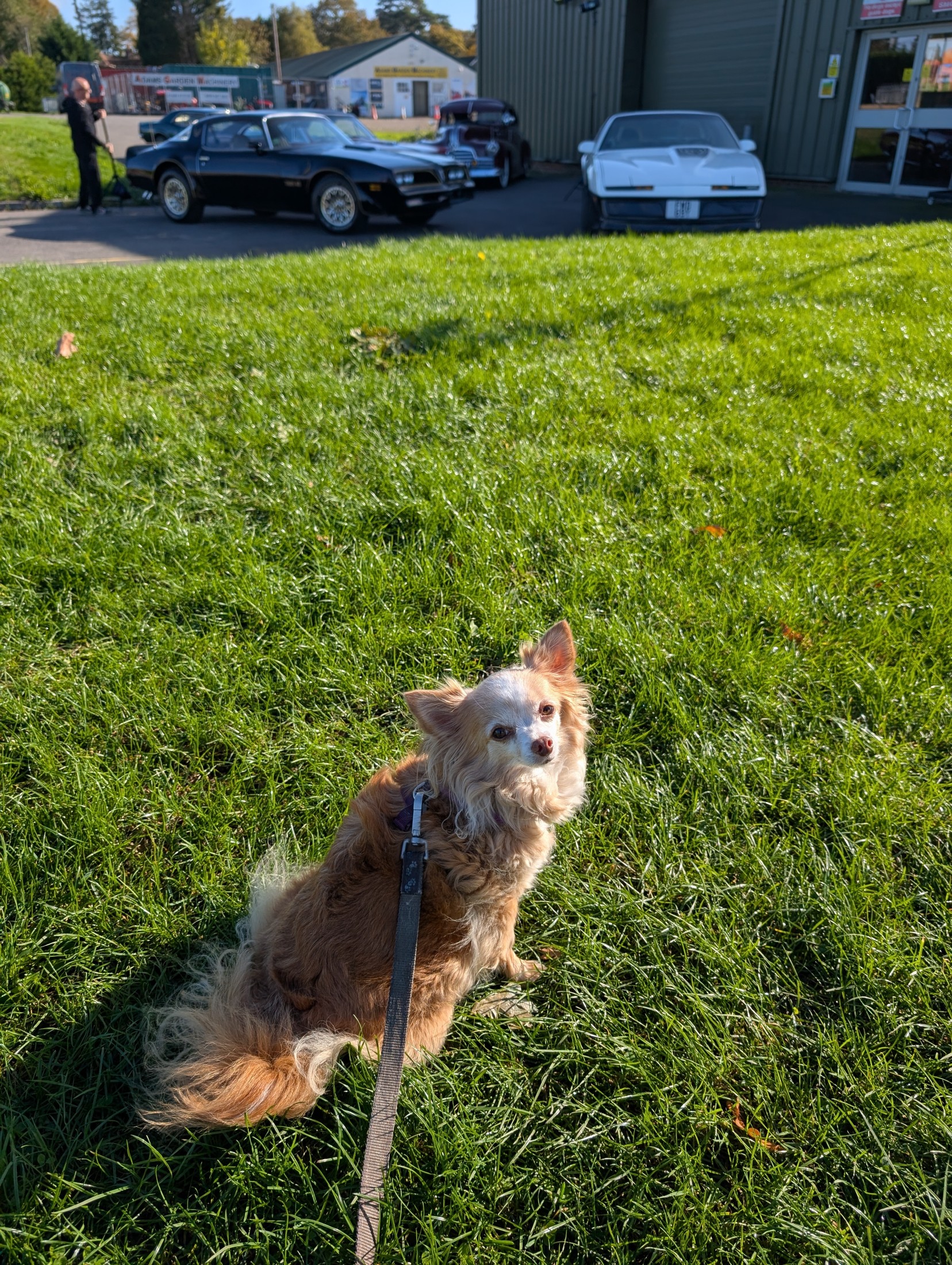 Classic_American_Photoshoot_28_Oct_2026_021.jpg