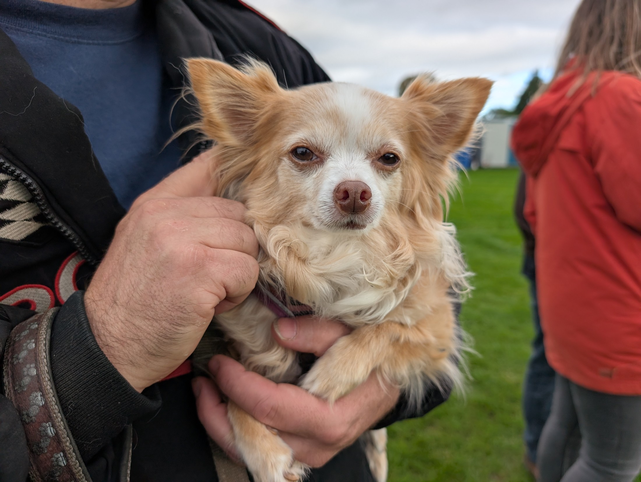 Classic_American_Photoshoot_28_Oct_2026_115.jpg