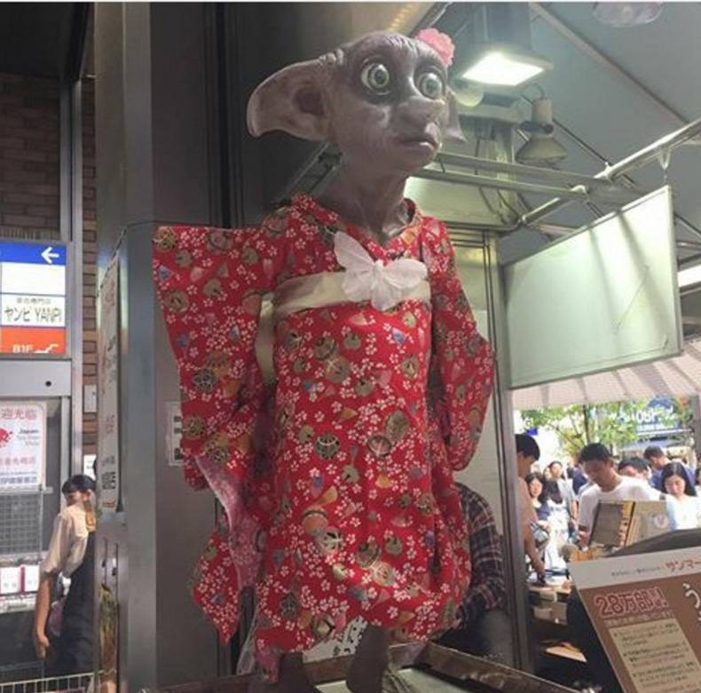 dammit dobby take off your sisters clothes