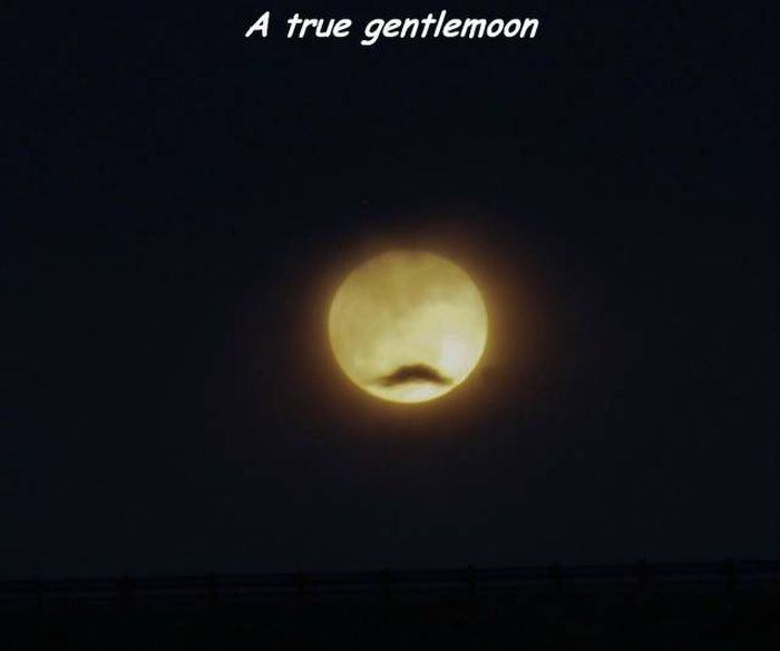 damn hipster moon is going to make us drink a pbr