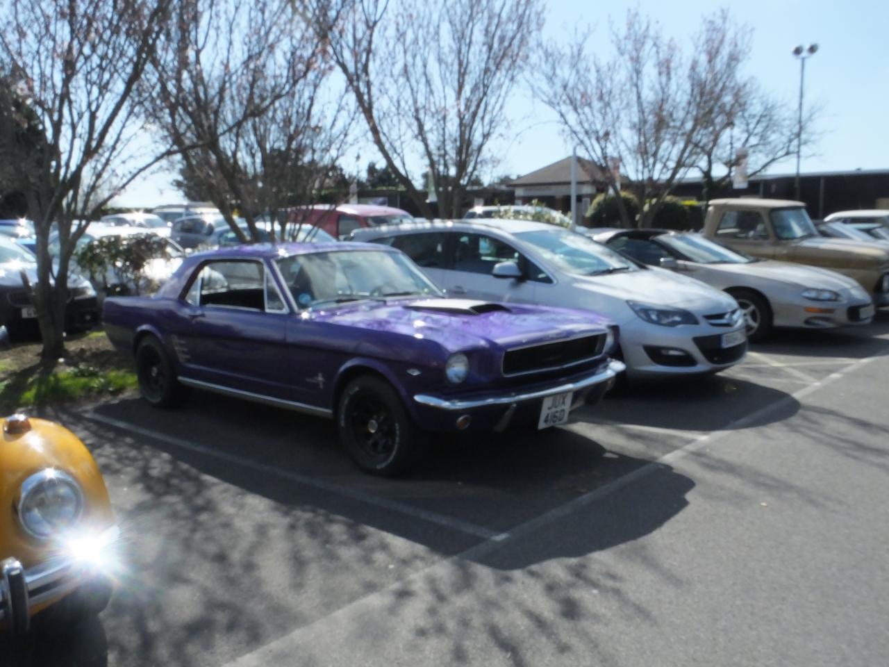 DSCF2809