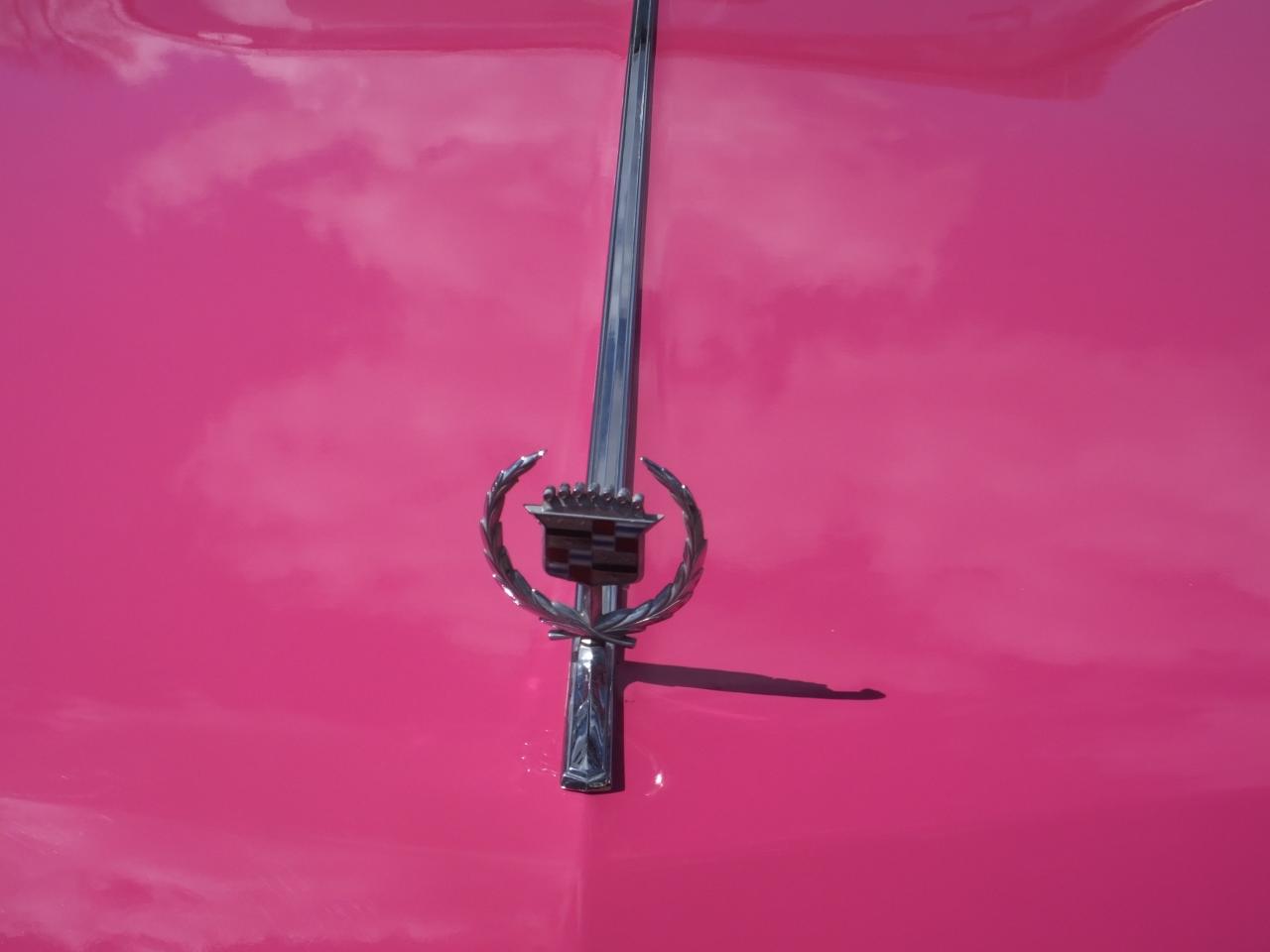 DSCF2884