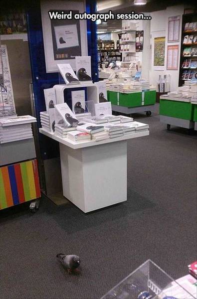 especially since he didn t use ink to sign the books