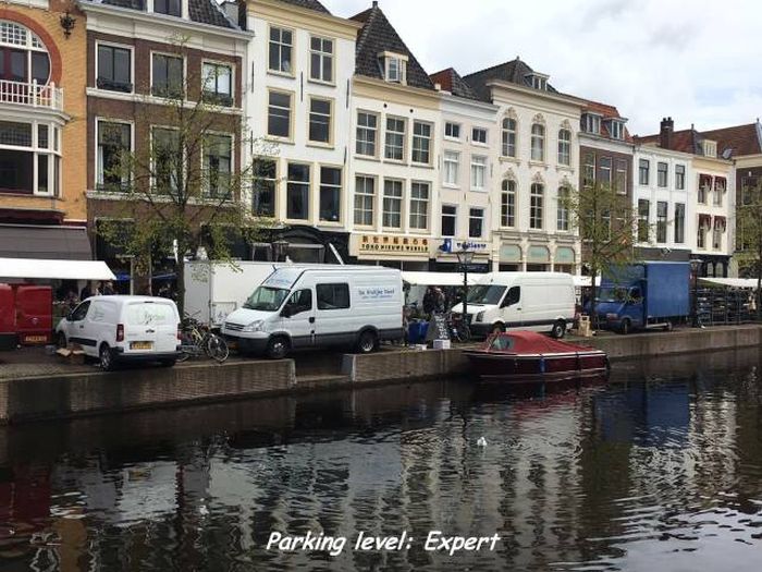 expert level and total fail are very close to one another