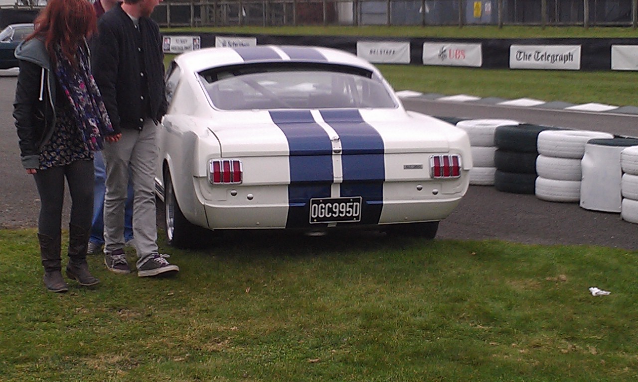 Goodwood BC March 2013 076