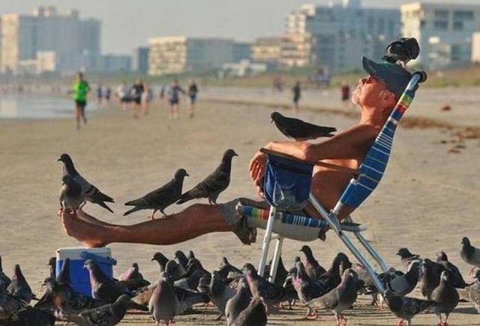 he gave the pigeons all the fucks he had left