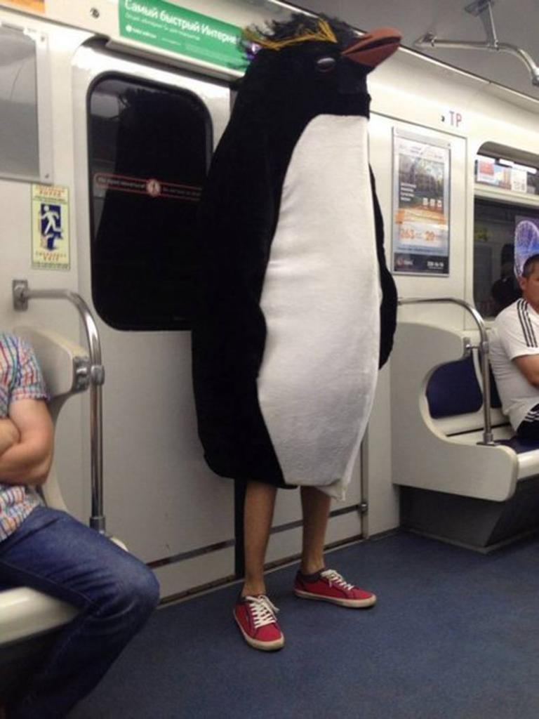 he s just desperately trying to blend in