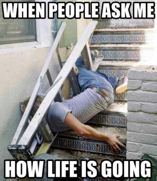 head in the ladder thats how good