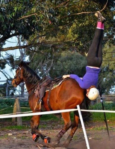 hey stop horsing around