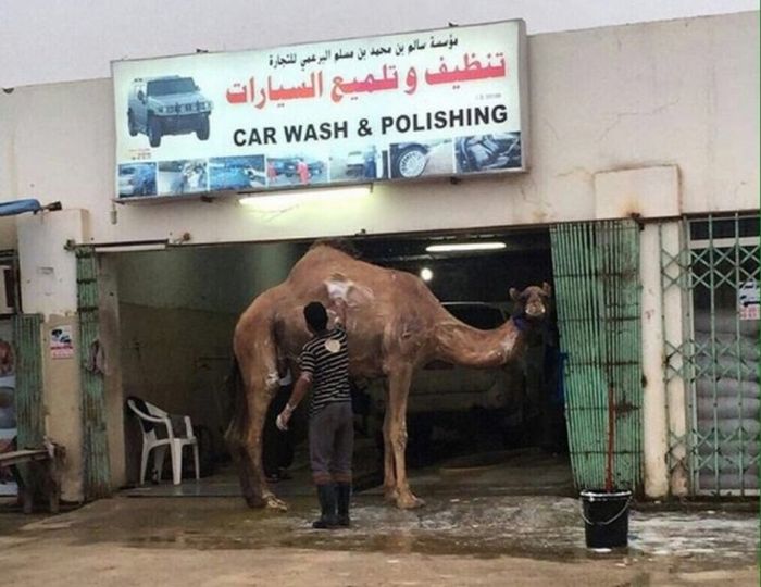 hope he brought a coupon
