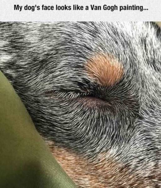hopefully his eye didn t go the way of van gogh s ear