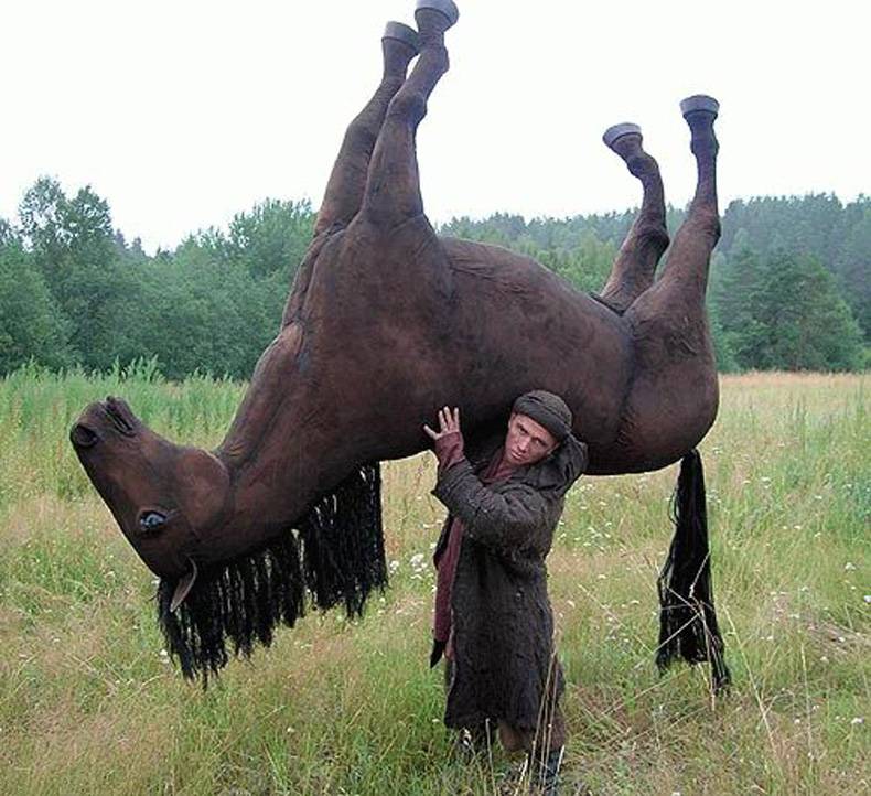 horse is broken