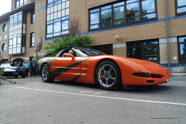 HORSHAM29