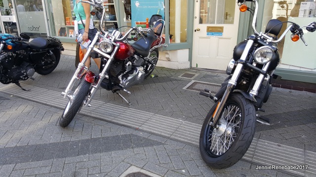 HORSHAMBIKE5