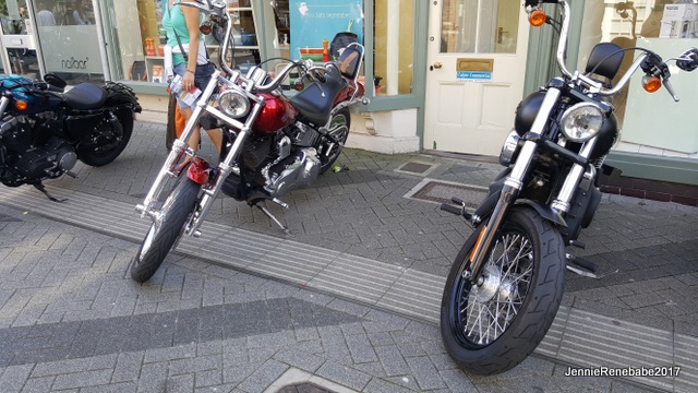 HORSHAMBIKE5