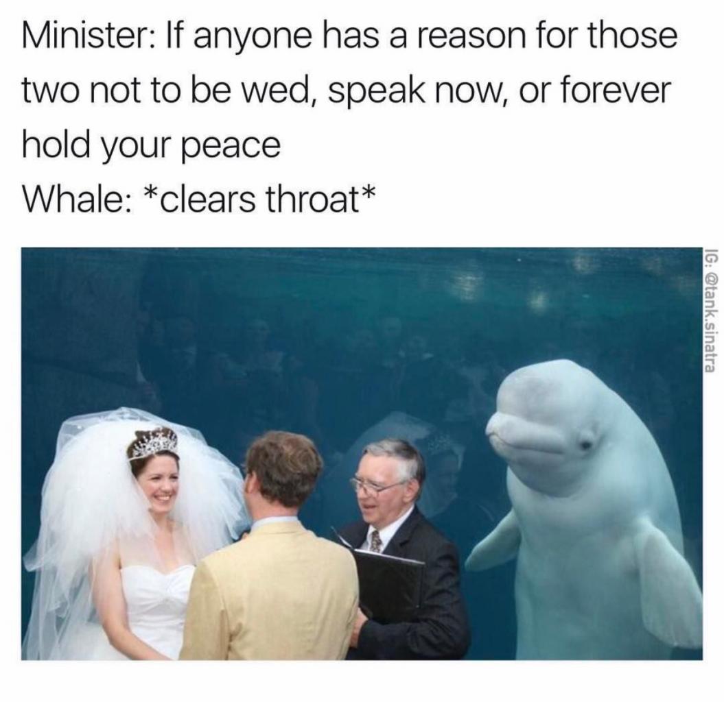 if i may we touched blowholes and i love her