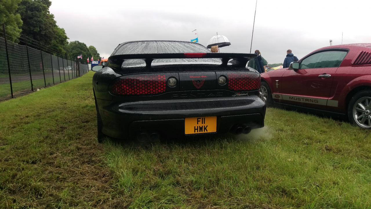 IMAG2524