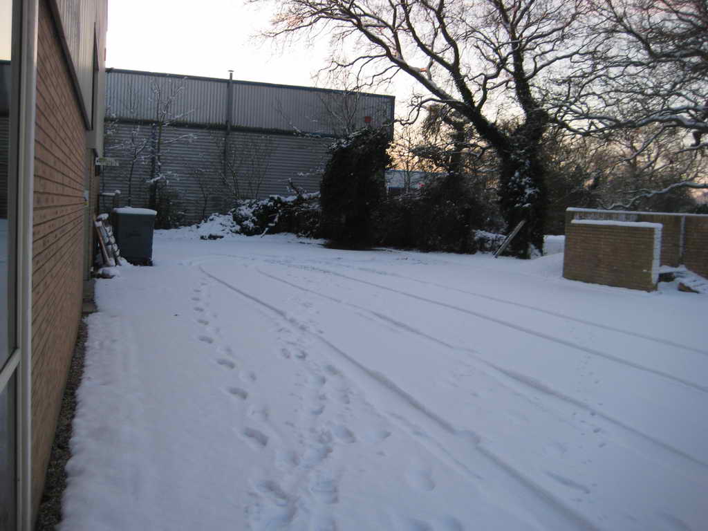 IMG 4525