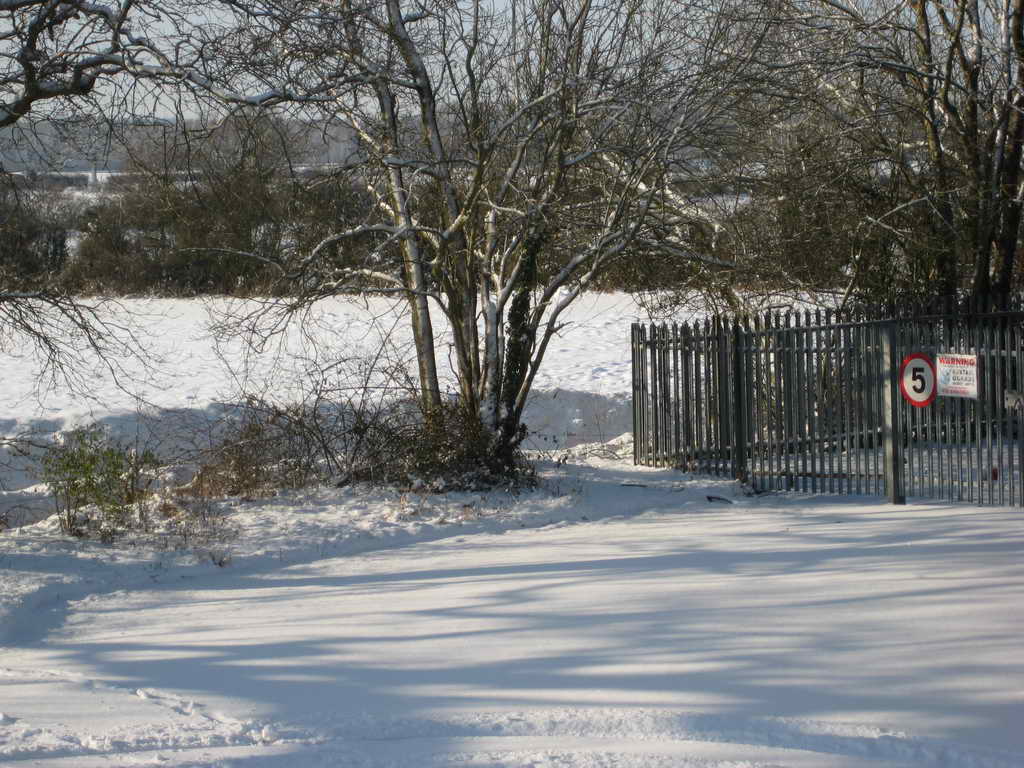 IMG 4532
