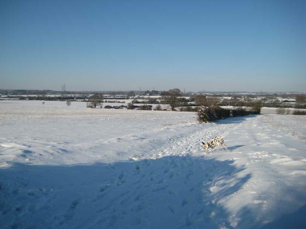 IMG 4539