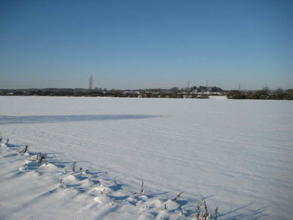 IMG 4543