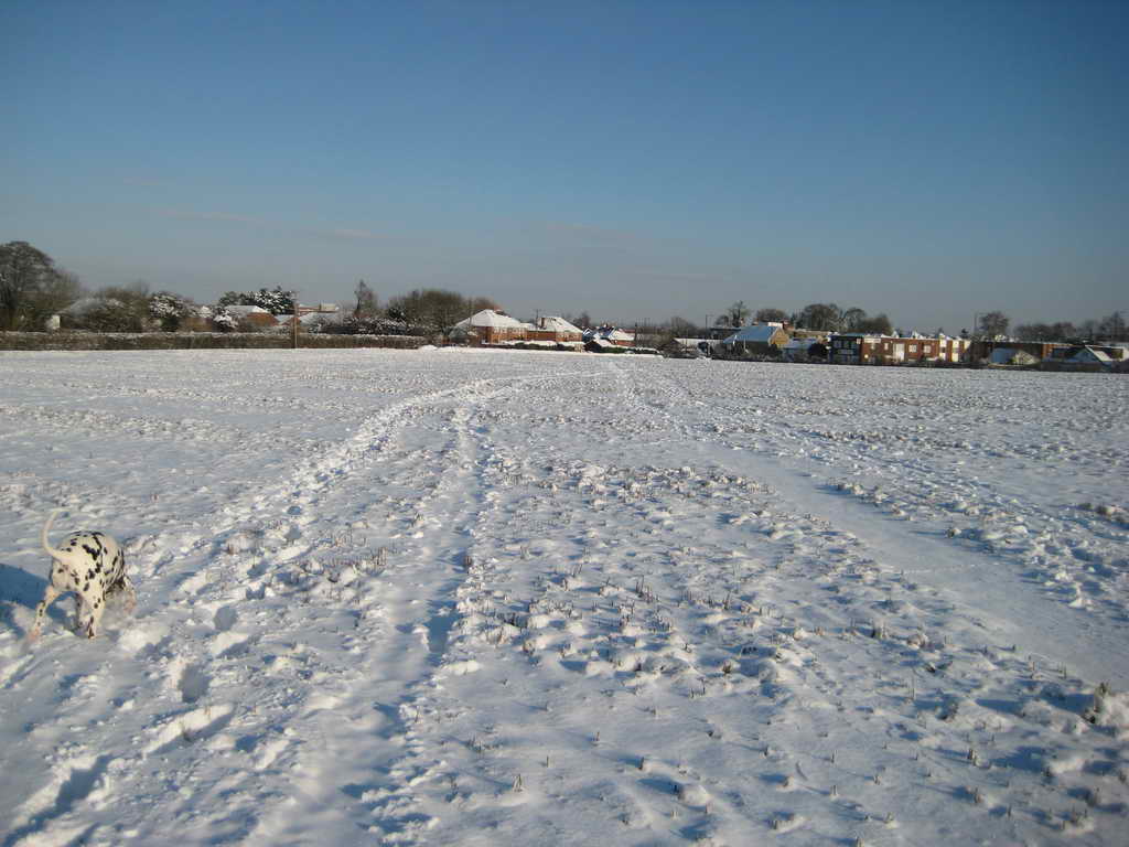 IMG 4553