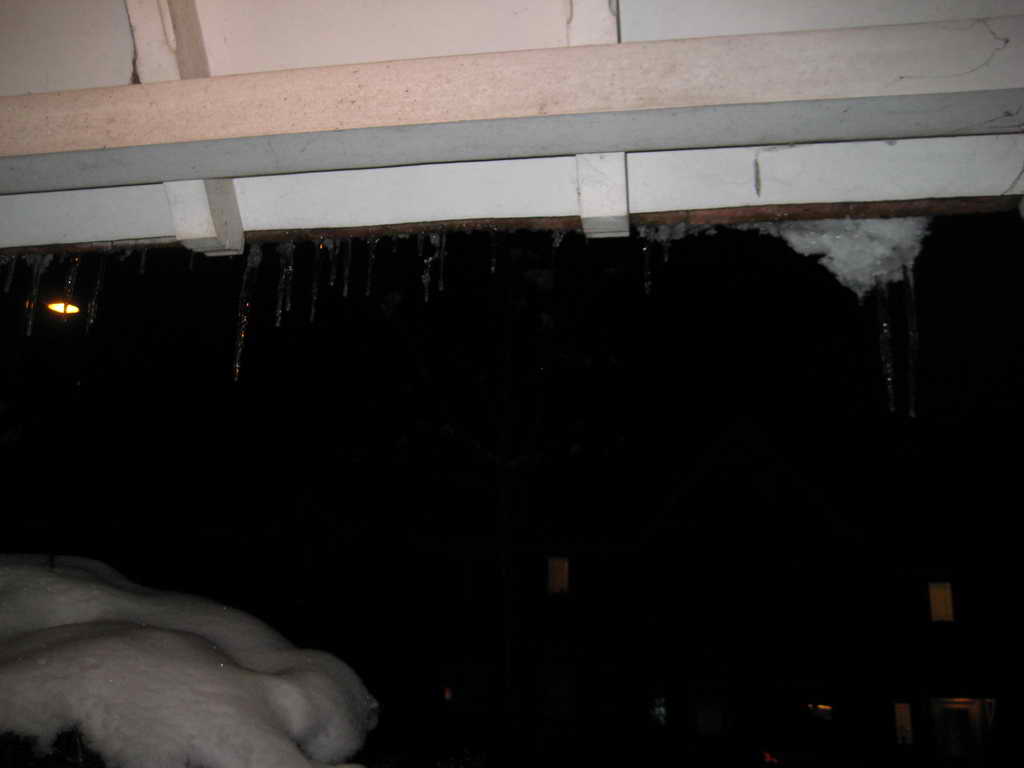 IMG 4555