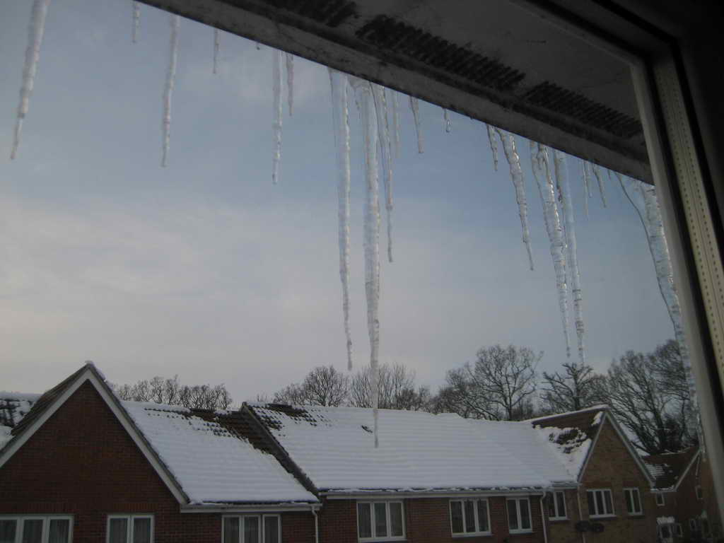 IMG 4558
