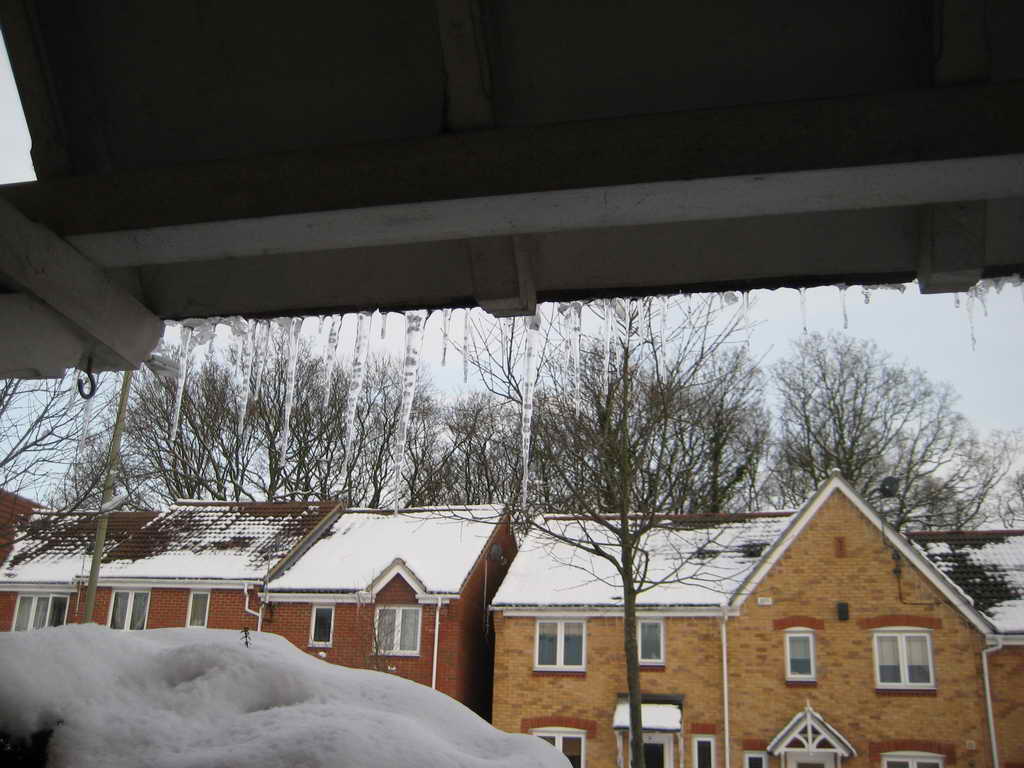IMG 4560