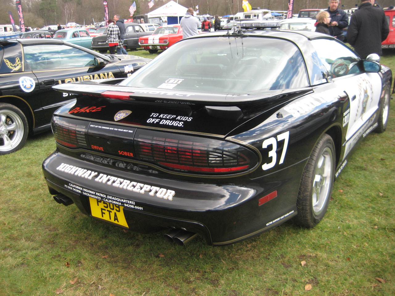 IMG 7817