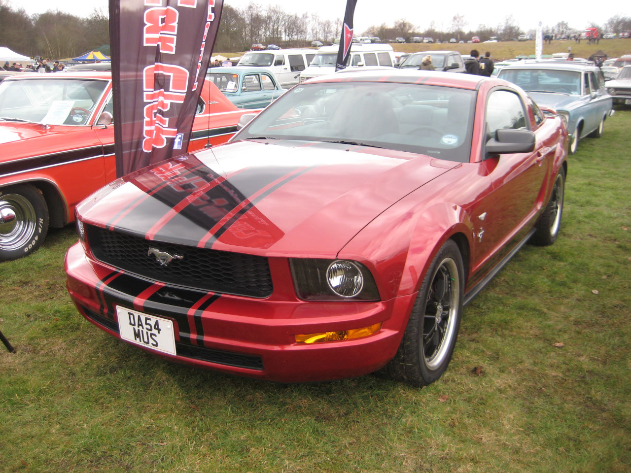 IMG 7917