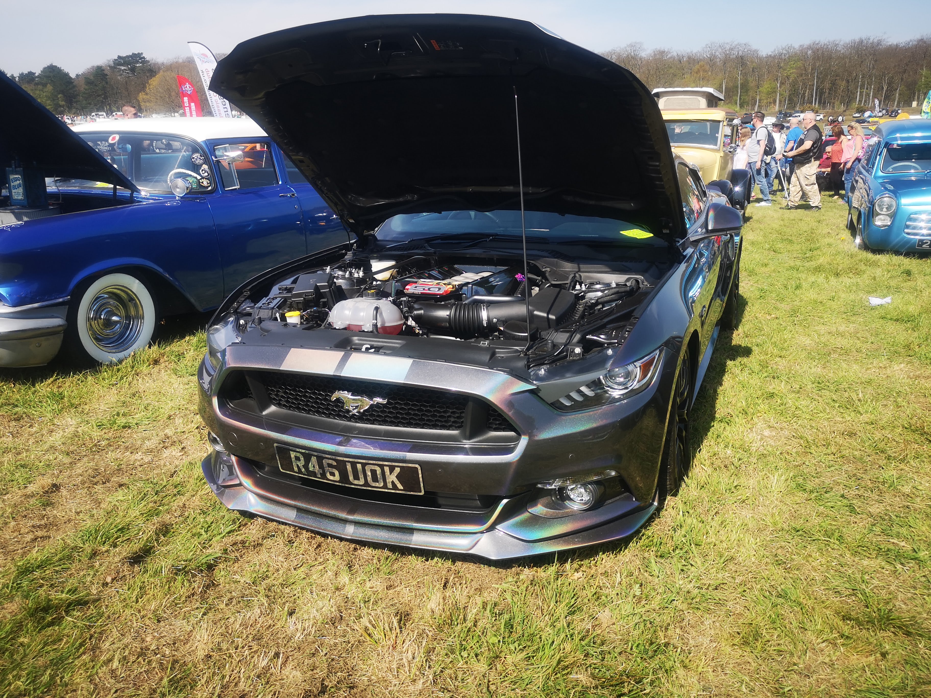 IMG_20190419_114437.jpg