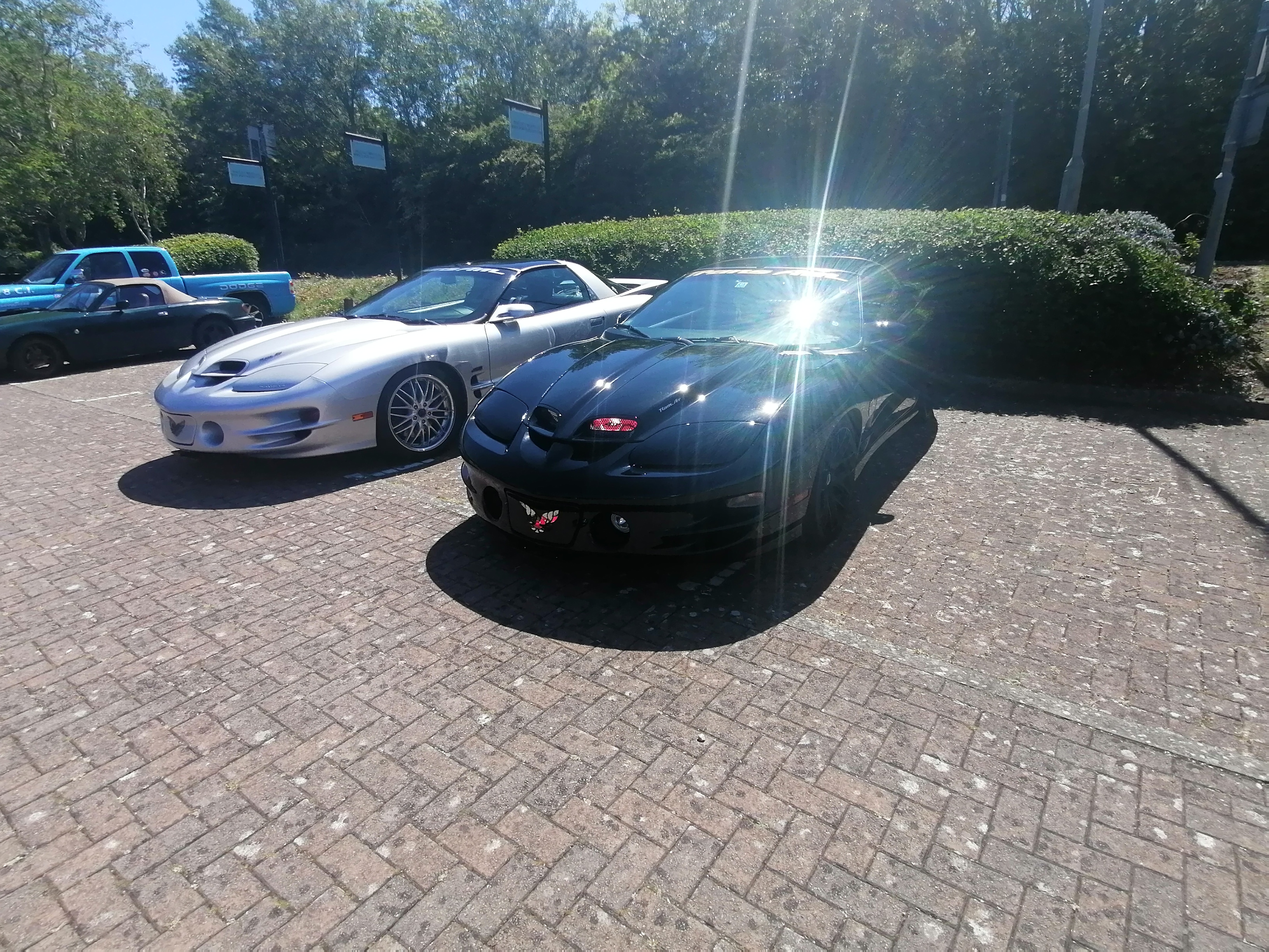 IMG_20210530_114543.jpg