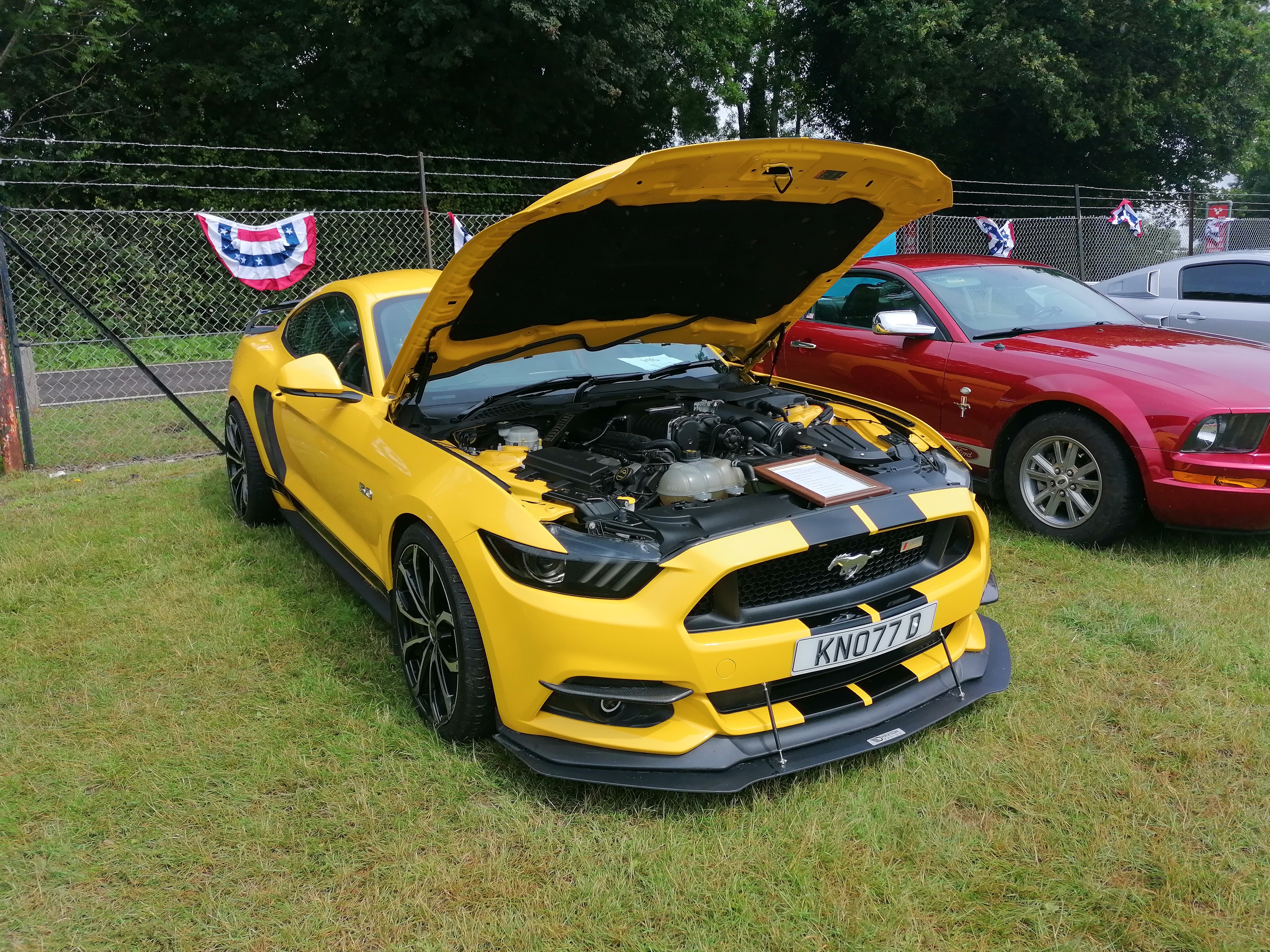 IMG_20210704_105355.jpg