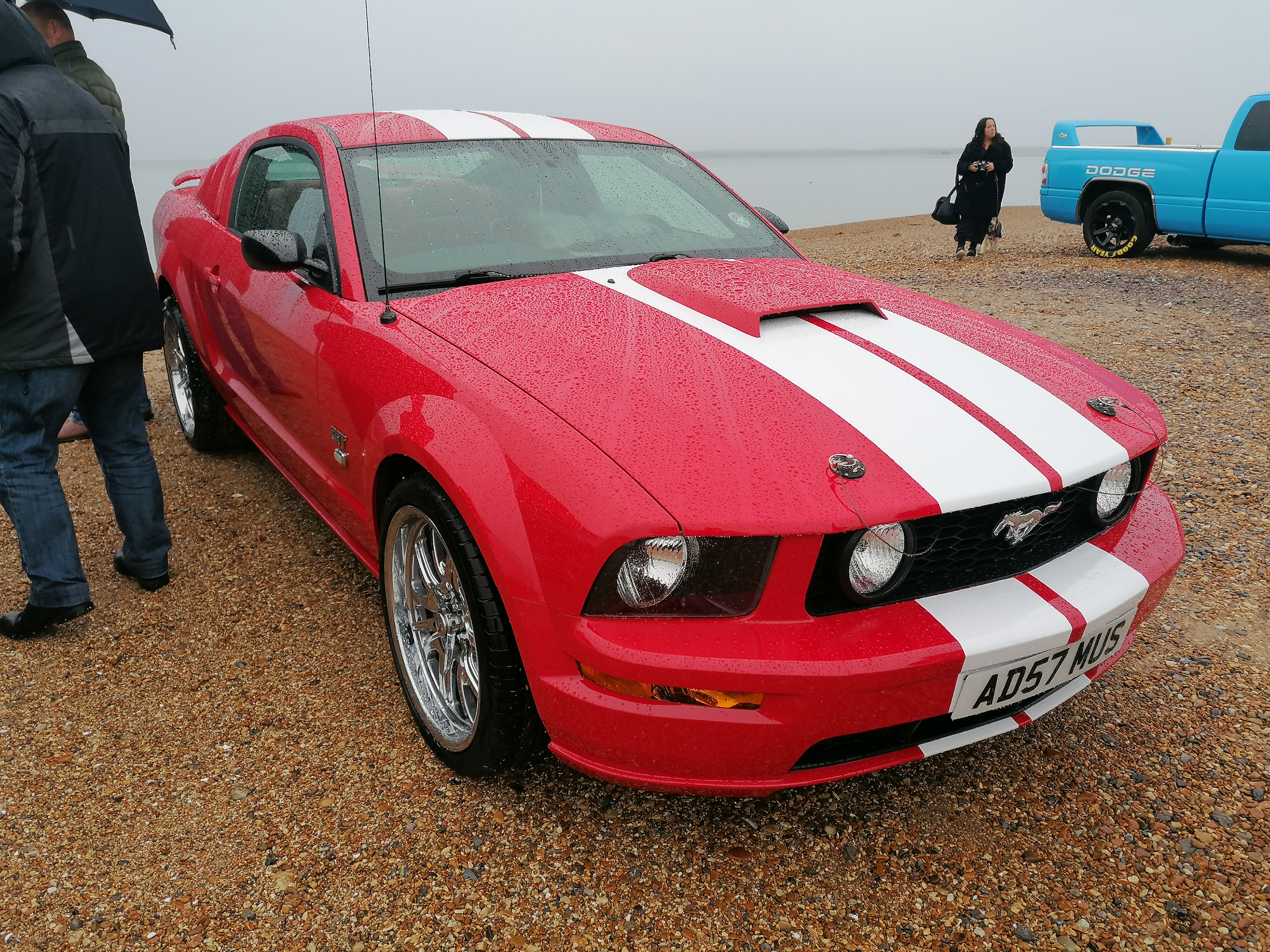 IMG_20221002_105500.jpg