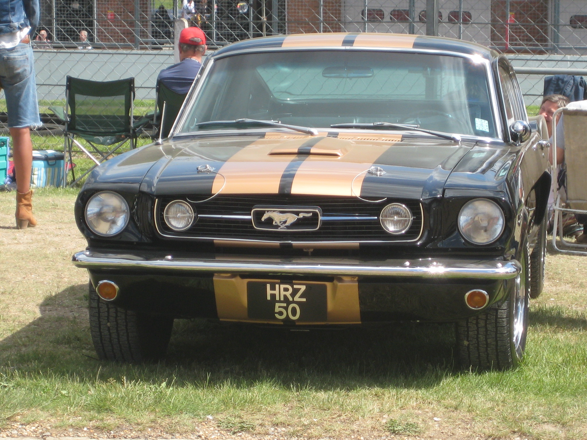 IMG_5887.JPG