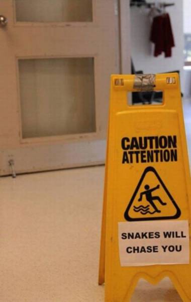 into a triangular snake pit