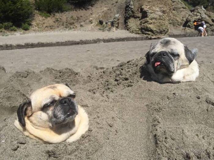 it is a long story as to why they ended up here but they did