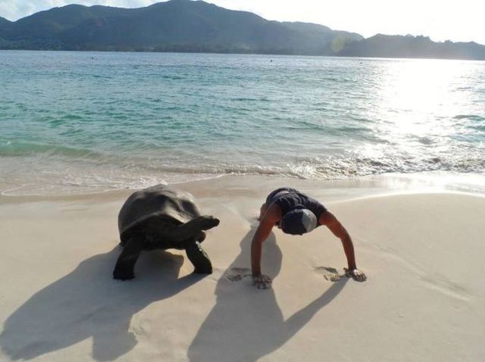 it was a slow workout