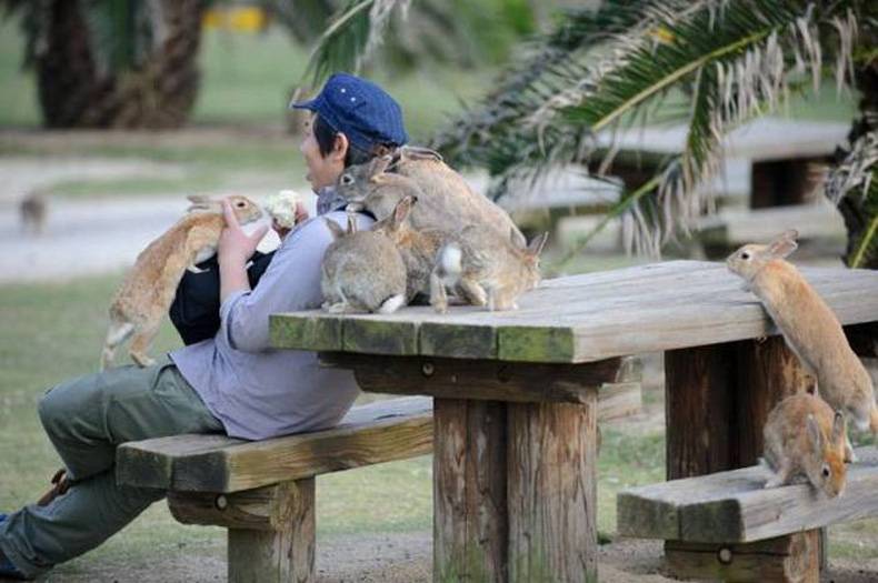 jeremy knew eating carrot cake in the park had risks