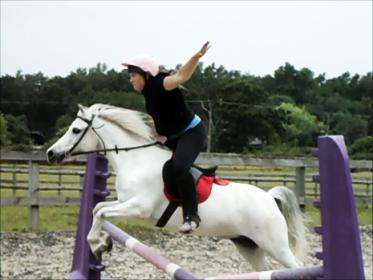 jumping a fence with no hands on the reins