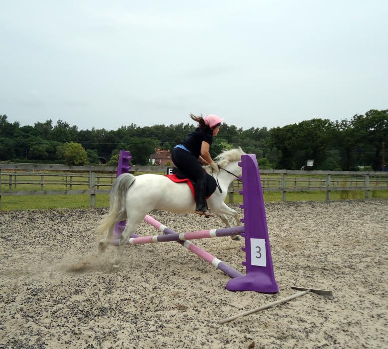 jumping a fence