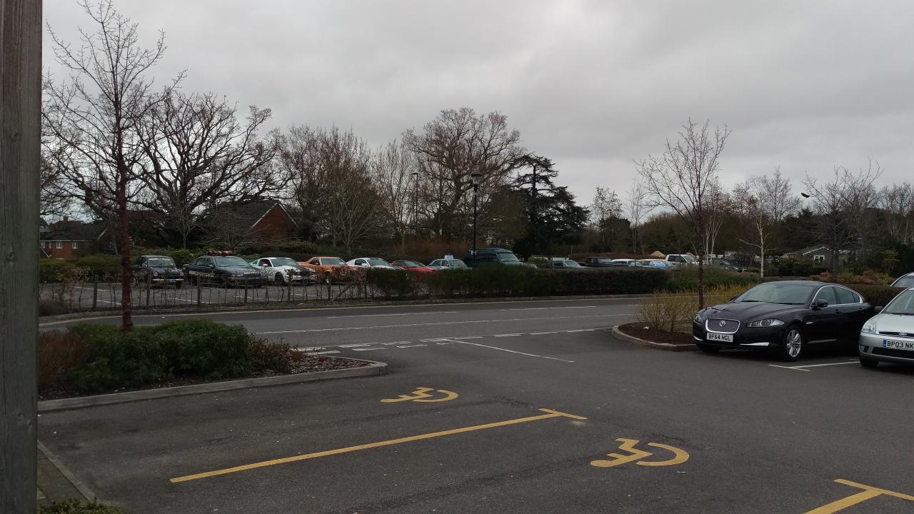 Line of club cars behind the bush.